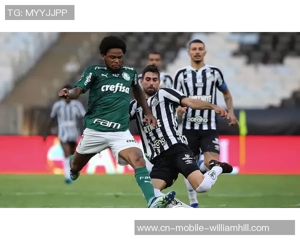 帕尔梅拉斯与巴拉纳竞技对决结果揭晓精彩瞬间回顾 帕尔梅拉斯与巴拉纳竞技对决结果揭晓精彩瞬间回顾