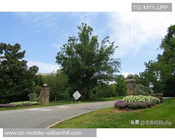 杜克大学与弗吉尼亚理工大学的精彩对决分析与赛后点评